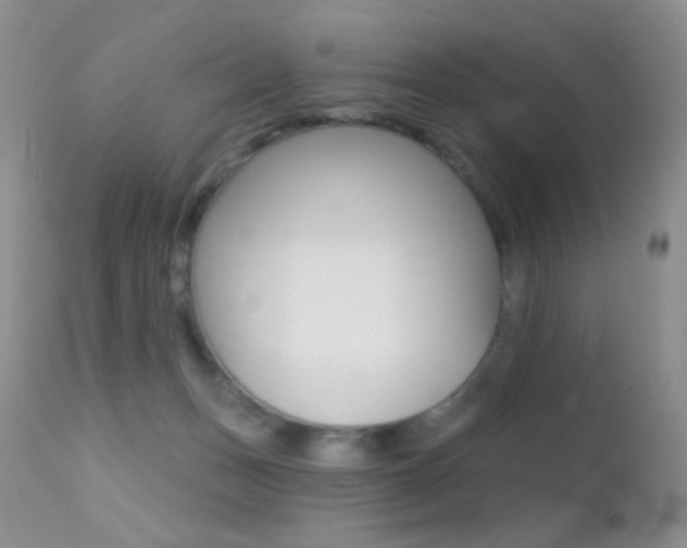 X0000113200175200909100931