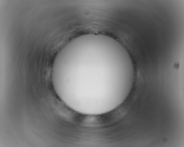 X0000113200177200909100931