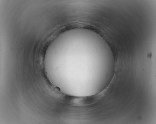 X0000113200178200909100931