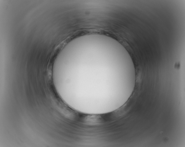 X0000113200179200909100931