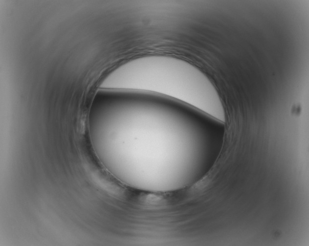 X0000113200180200909100931