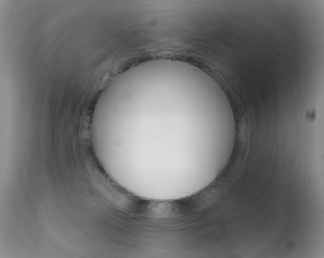 X0000113200181200909100931