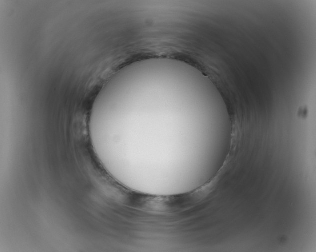 X0000113200182200909100931