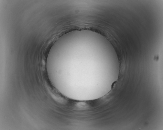 X0000113200183200909100931