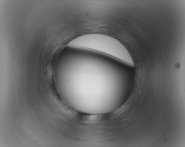 X0000113200184200909100931