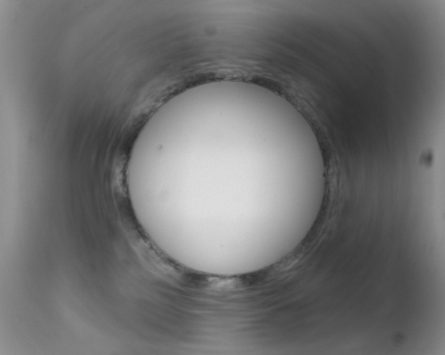 X0000113200185200909100931