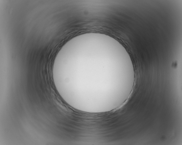 X0000113200186200909100931