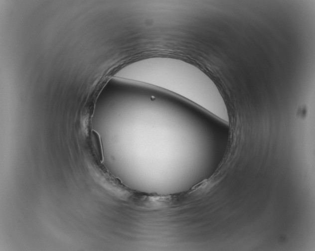 X0000113200188200909100931