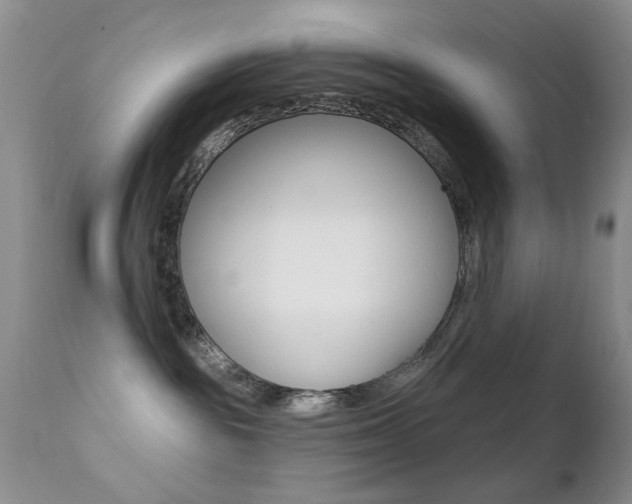 X0000113200189200909100931