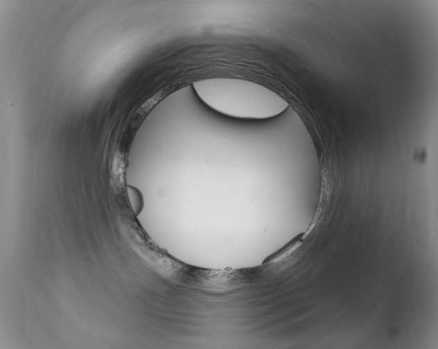 X0000113200191200909100931