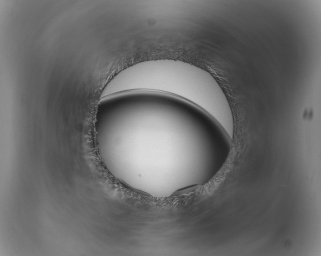 X0000113200192200909100931