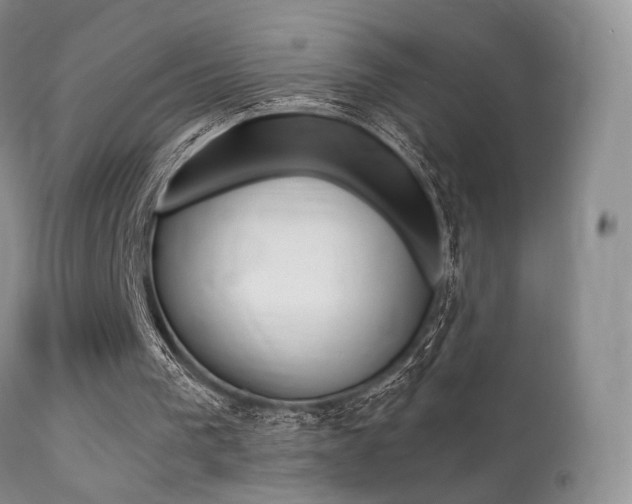 X0000113200193200909100930