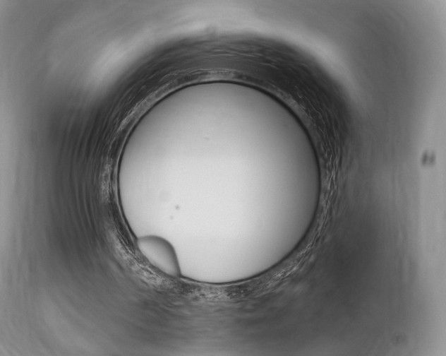 X0000113200194200909100930