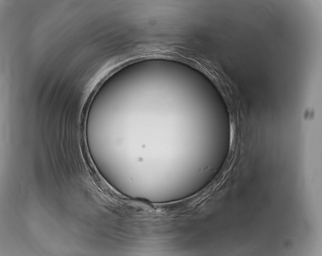 X0000113200195200909100930