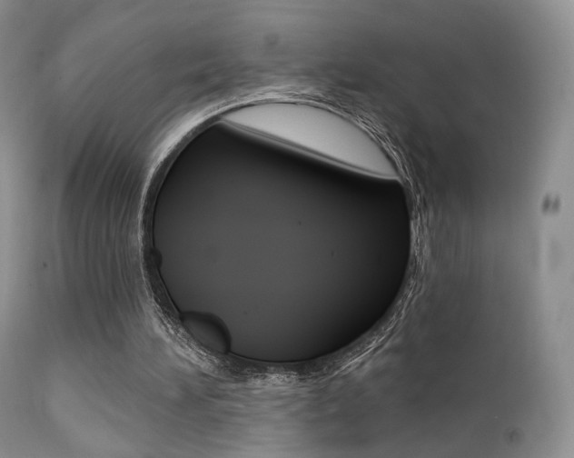 X0000113200196200909100930