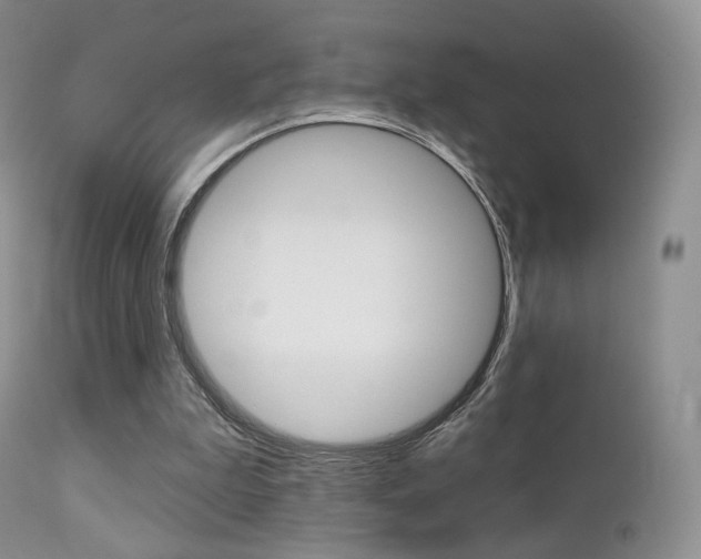 X0000113200199200909100930