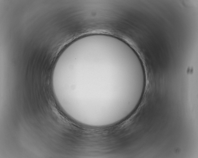 X0000113200201200909100930