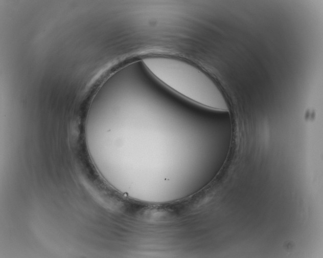 X0000113200208200909100930