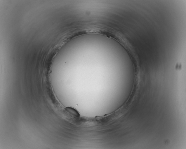 X0000113200209200909100930