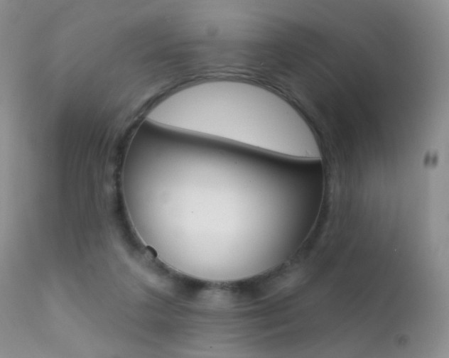 X0000113200211200909100930