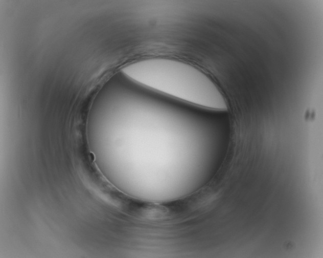 X0000113200215200909100930