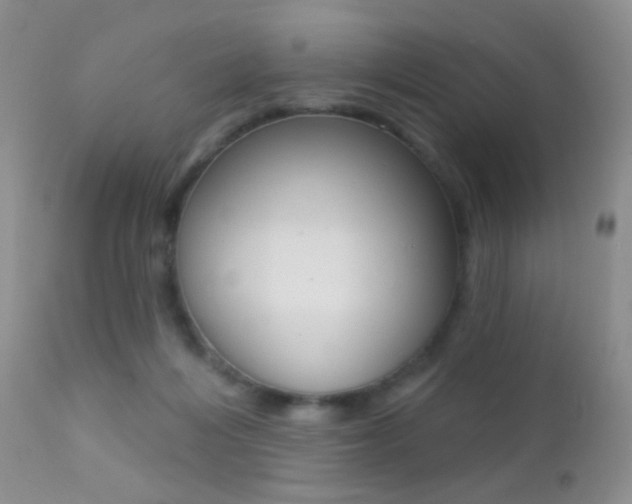 X0000113200216200909100930