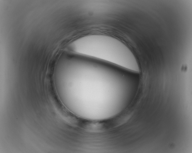 X0000113200217200909100930