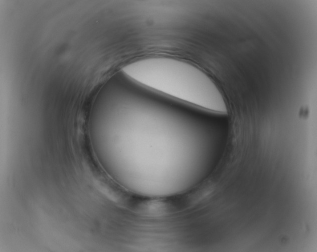 X0000113200219200909100930
