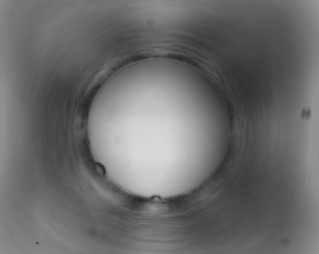 X0000113200220200909100930