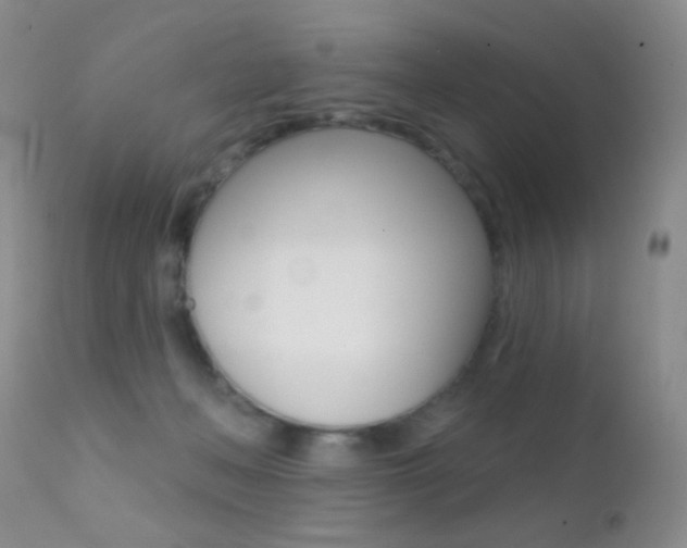 X0000113200222200909100930