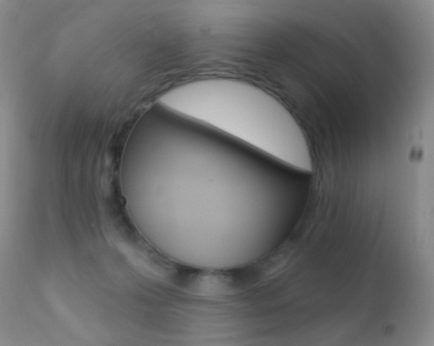 X0000113200223200909100929