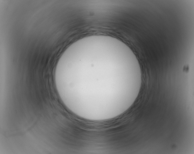 X0000113200225200909100929