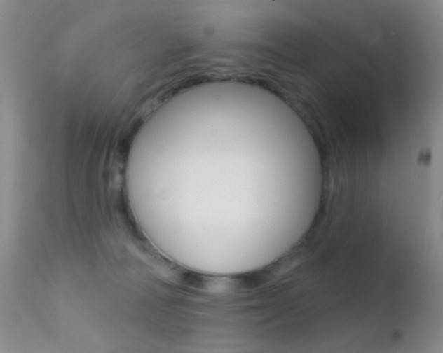 X0000113200226200909100929