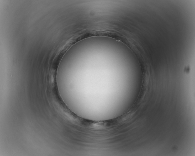 X0000113200232200909100929