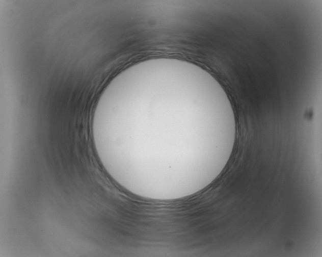 X0000113200233200909100929