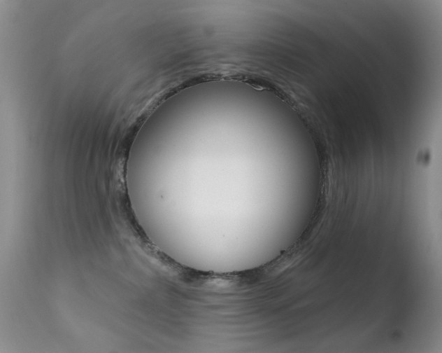 X0000113200236200909100929