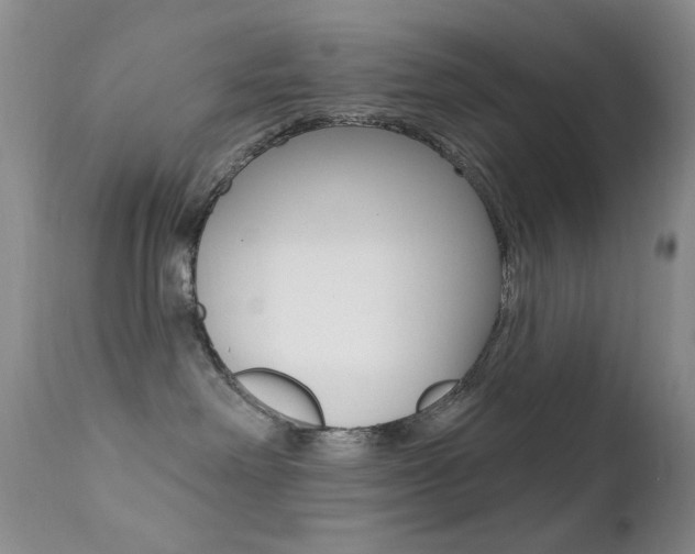 X0000113200238200909100929
