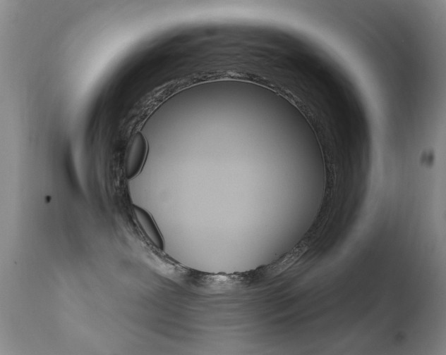 X0000113200239200909100929