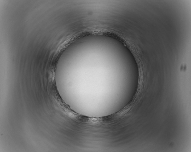 X0000113200240200909100929