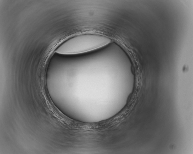 X0000113200241200909100929