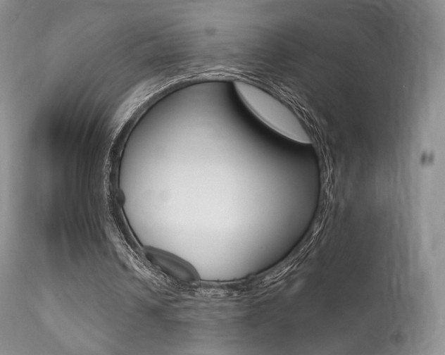 X0000113200242200909100929
