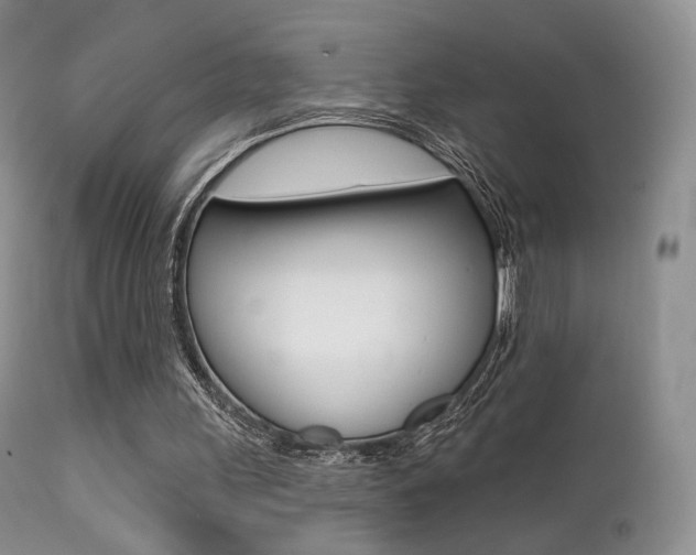 X0000113200243200909100929