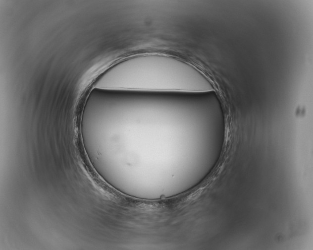 X0000113200245200909100929