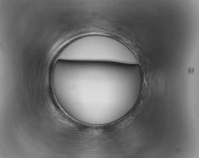 X0000113200247200909100929