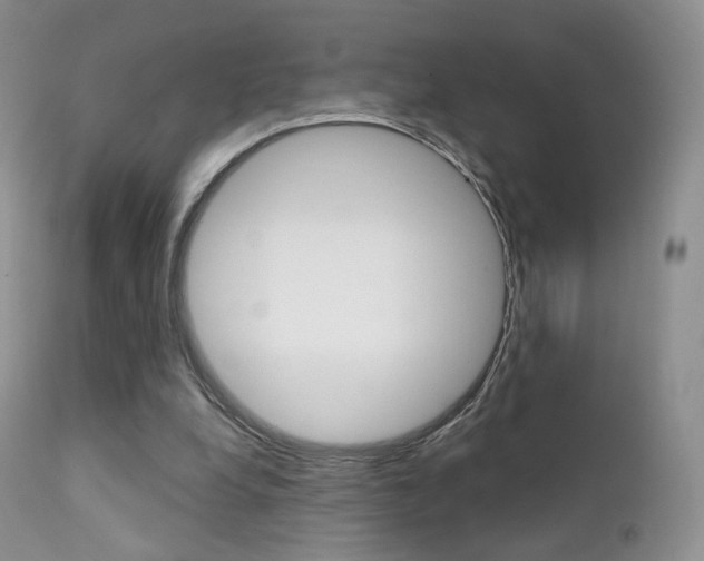 X0000113200248200909100929
