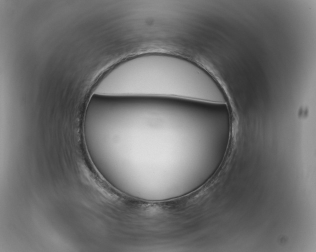 X0000113200249200909100929
