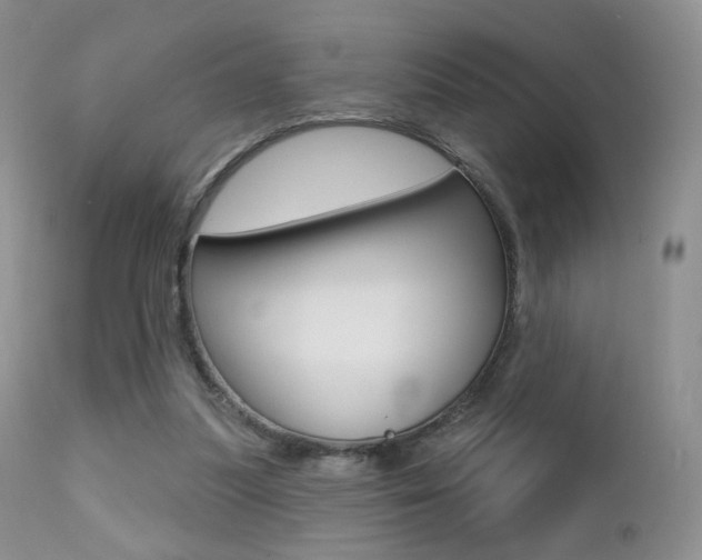 X0000113200251200909100929