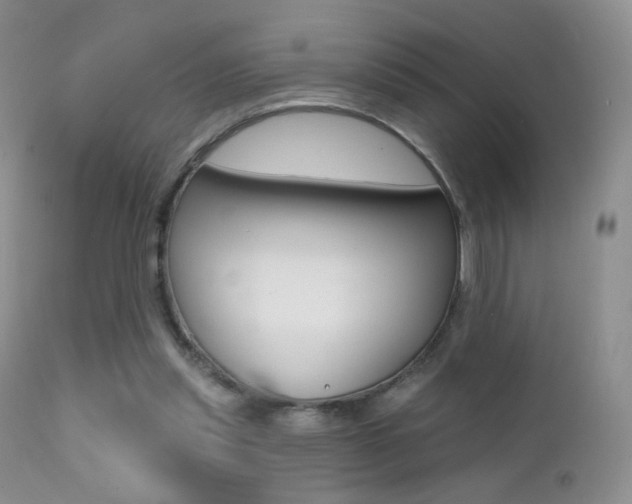 X0000113200253200909100929