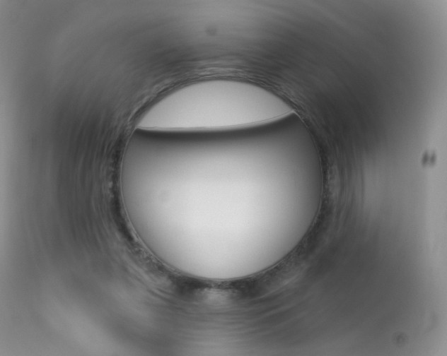 X0000113200255200909100929