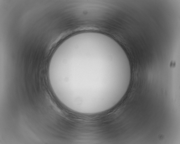 X0000113200256200909100929